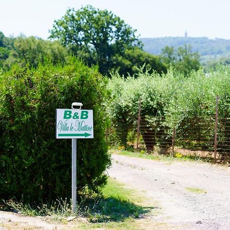 B&B Villa Le Mattine Agropoli Bagian luar foto